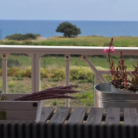 Imerti קיוטארי